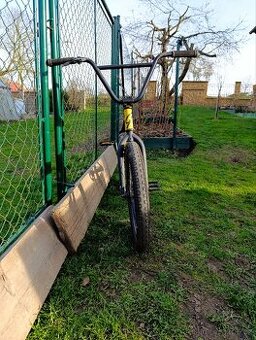 Bmx galaxy early bird