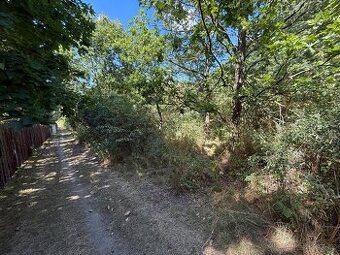Pozemek Chlumek u Hrejkovic 4544 m2