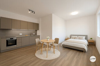 Pronájem bytu 1+kk 40 m² K Očnímu, Štramberk