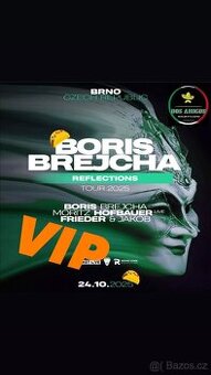 Boris Brejcha VIP lístek