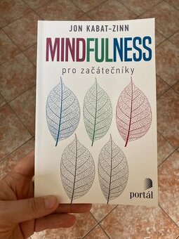 Mindfulness pro začátečníky