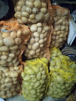 Prodám brambory na uskladnění