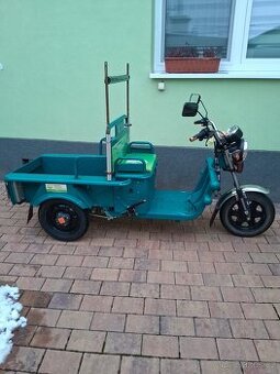 Elektrická tříkolka Cargo 250