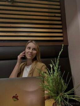 Vedení účetnictví, účetní