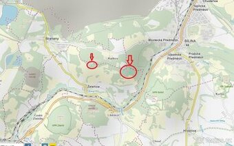 Prodám lesní pozemky v k.ú. Želenice u Mostu