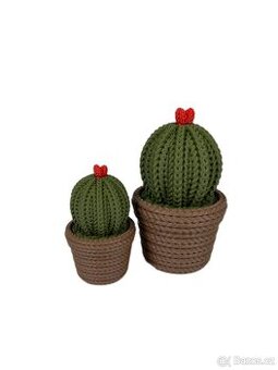 Designový kaktus v květináči -sada