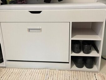 Botník v ideálním stavu