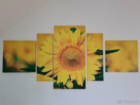 5-dílný obraz slunečnice na plátně