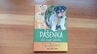 KNIHA DÁŠENKA OD KARLA ČAPKA