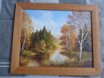 OBRÁZEK KRAJINY V RÁMU 41X37 CM