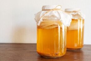 Houba kombucha - kvalitní násada