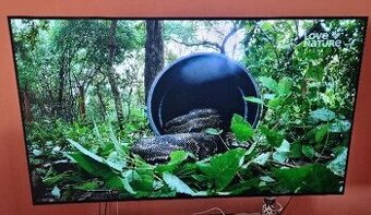 LG OLED 77B23LA