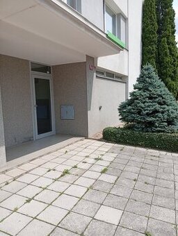 Prodám byt 3+1 69 m2 před rekonstrukcí