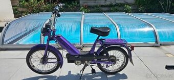 Babeta 207