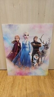 Obraz Ledové království 50x60 (ŠxV),cena o dohodě