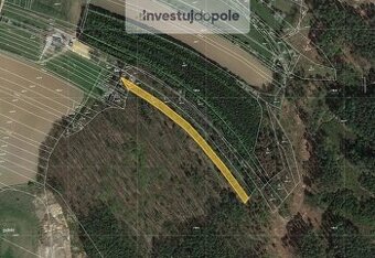 Prodej podílu 1/3 lesa 1 395 m², Boskovice