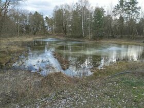 Pozemek - bunkr a rybník u Prahy