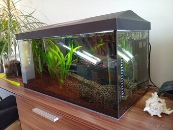V záruce, plně zařízené akvárium