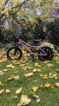 Růžové kolo Rascal - 14