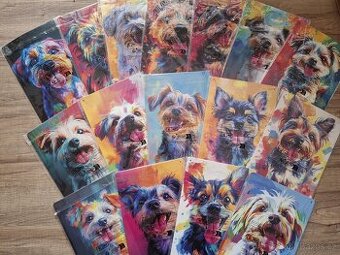 Plechová cedule 20x30cm JORKŠÍR