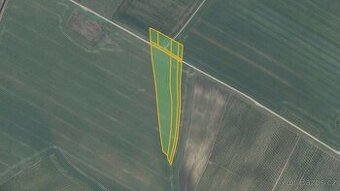 Zemědělská půda, prodej, Prušánky, Hodonín