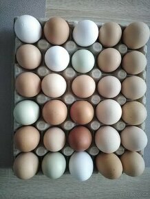 Prodej vajíček