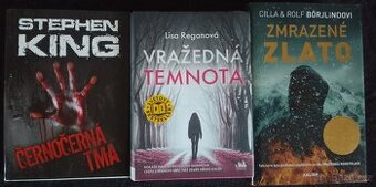 Lisa Regan ; Robert Bryndza, Stephen King