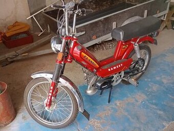 Moped