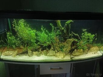 Akvárium 450l se skříňkou