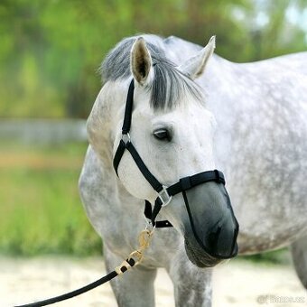 Nová maska na nos - full