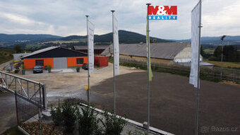 Pronájem skladu, 750 m², Těšovice