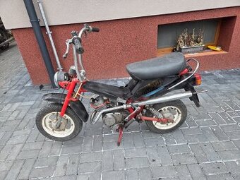 MOKIK Babetta - STELLA riga /1/