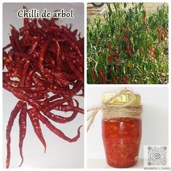 semínka zeleniny, bylinky, okrasné rostliny na zahradu