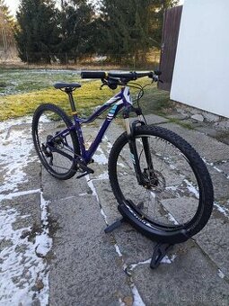 Specialized Jett 29' (vel. 17'') M