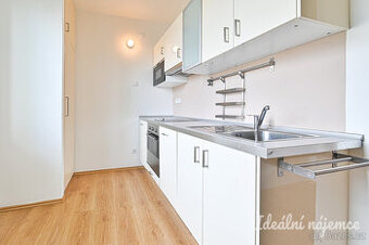 Pronájem bytu 2+1, Krásného, Židenice, 18000 Kč/měs, 59 m2