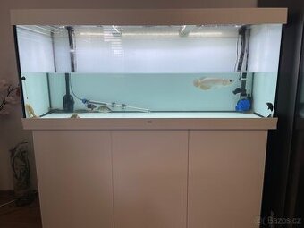 Juwel 450l - 1
