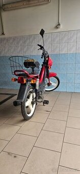 Manet Korado 216, 2 kw.