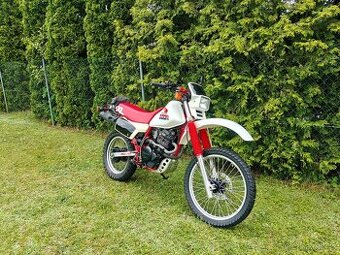 Honda XL 600 R PD03E