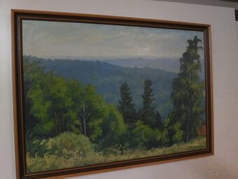 Černokostelecké lesy, Jar. Procházka 1908 +1989