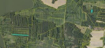 Prodám lesní pozemky v k.ú. Milčice - 1