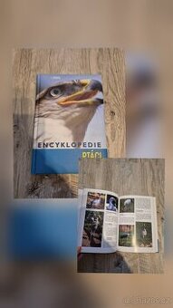 Encyklopedie Ptáci