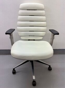 Kancelářská židle Mercury Fishbones