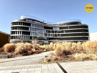 Pronájem moderních kancelářských prostor Scott.Weber, 134925