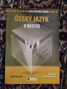 Český jazyk v kostce y/i