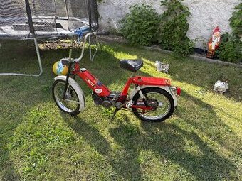 Prodám babetu 207