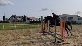 4 léta klisna po Quaid - 1