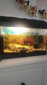 Kompletní akvarium - 1