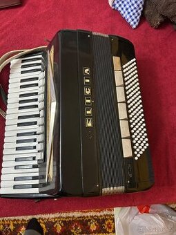 Harmoniky Delicia, Lidl Brno