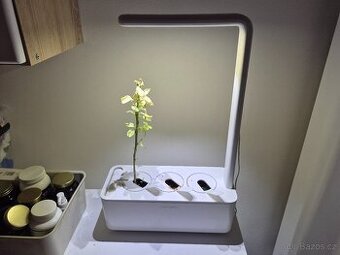 Hydroponický květináč Click and grow