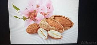 Prodej domácích přebytků likérů,slivovice,hruškovice